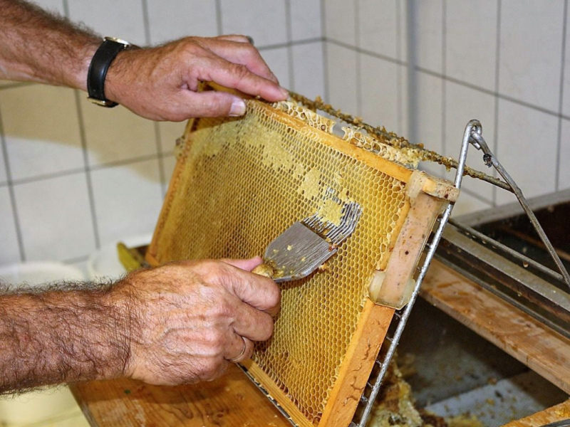 Honig aus dem Mieminger Almenland