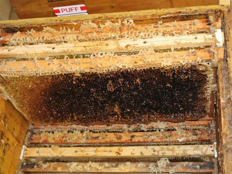 Honig aus dem Mieminger Almenland