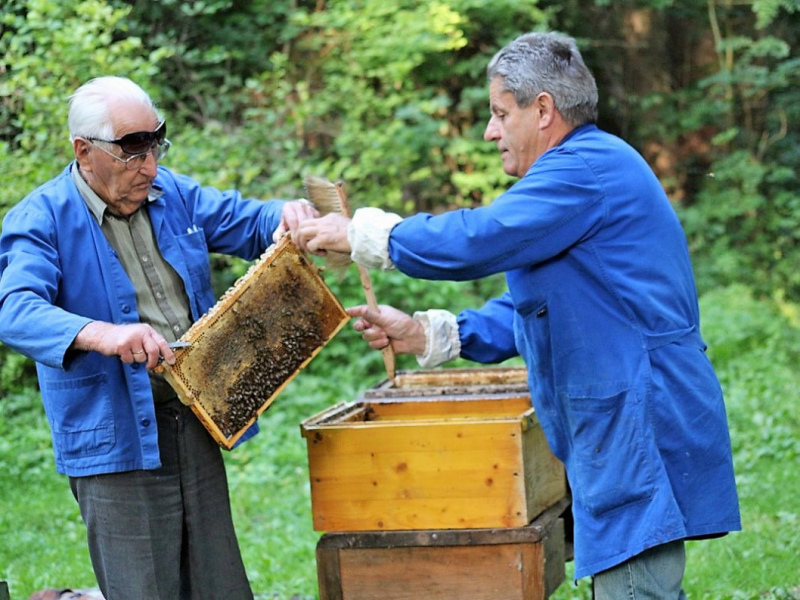 Honig aus dem Mieminger Almenland