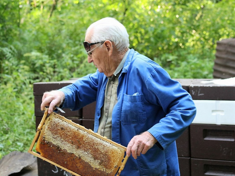 Honig aus dem Mieminger Almenland