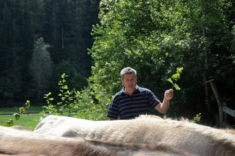 Kalenderblatt 15. Sept. 2012 – Almabtrieb Feldernalm