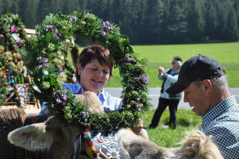 Kalenderblatt 15. Sept. 2012 – Almabtrieb Feldernalm