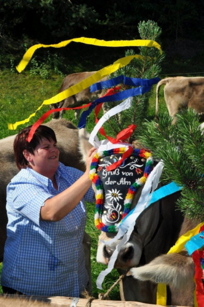 Kalenderblatt 15. Sept. 2012 – Almabtrieb Feldernalm