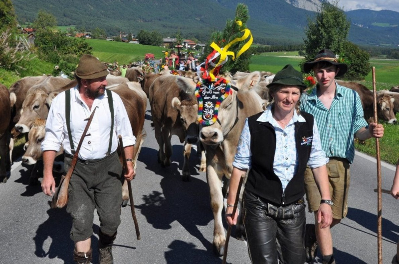 Kalenderblatt 15. Sept. 2012 – Almabtrieb Feldernalm