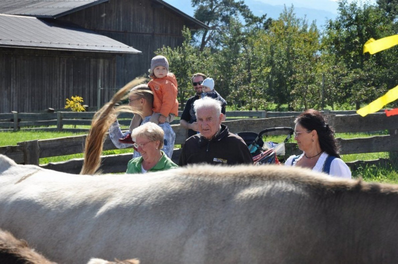 Kalenderblatt 15. Sept. 2012 – Almabtrieb Feldernalm