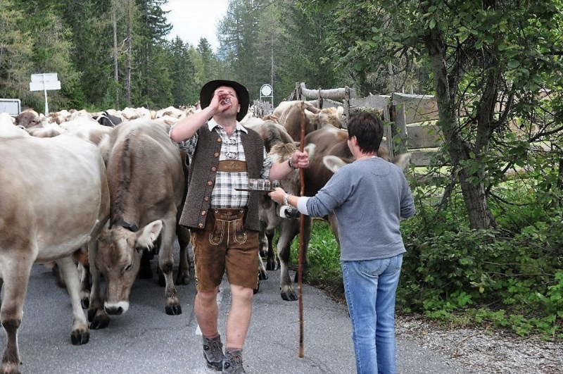 Kalenderblatt 15. Sept. 2012 – Almabtrieb Feldernalm