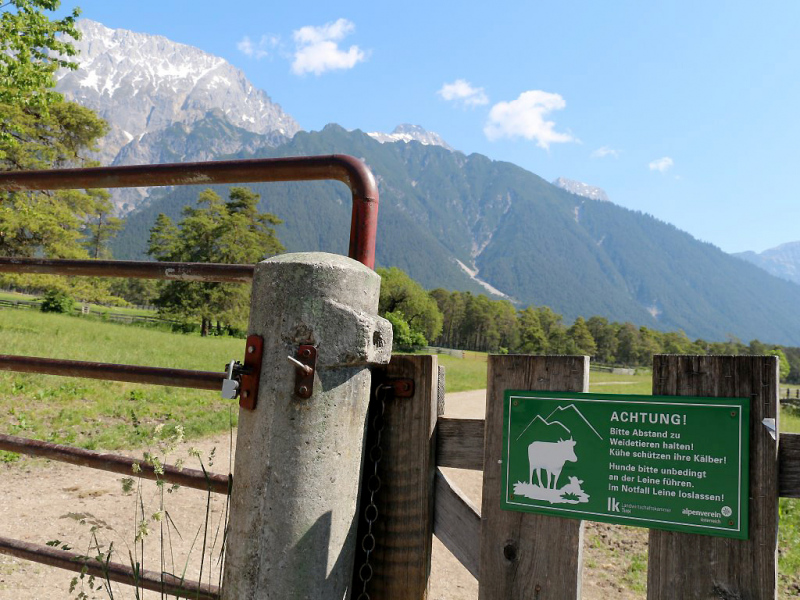 Kinderstube Natur – vom Vorberg auf die Feldereralpe
