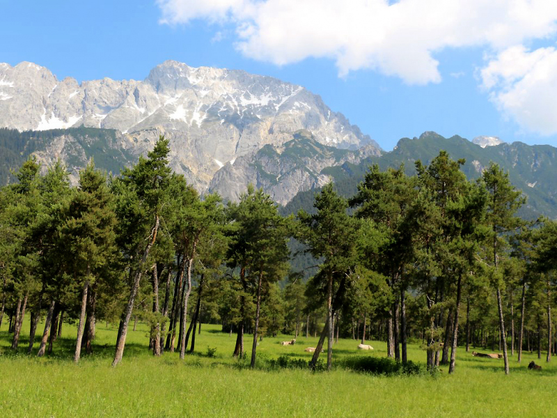 Kinderstube Natur – vom Vorberg auf die Feldereralpe