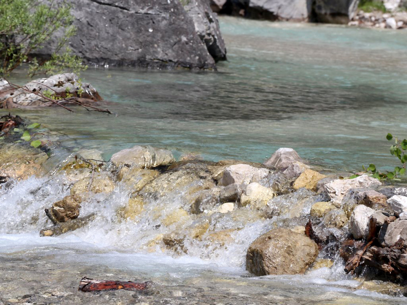 Kinderstube Natur – vom Vorberg auf die Feldereralpe