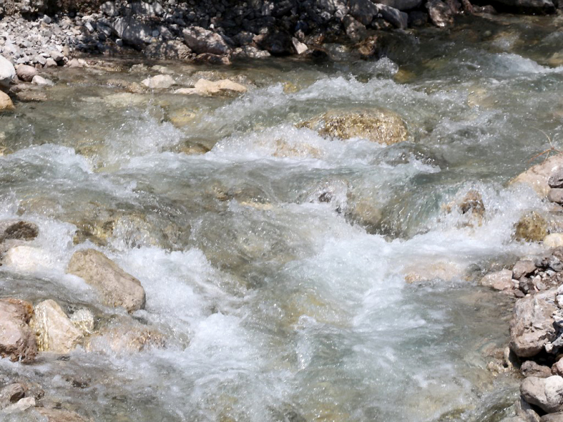 Kinderstube Natur – vom Vorberg auf die Feldereralpe