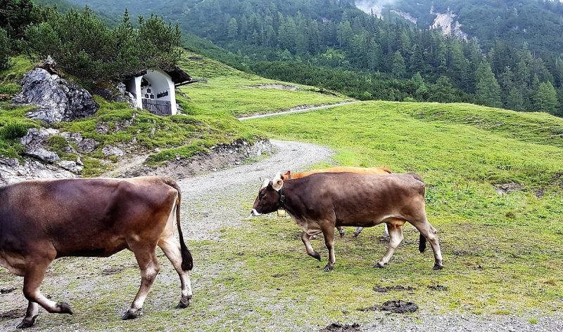 Marienberg Alm – Besuch beim neuen Hüttenwirt
