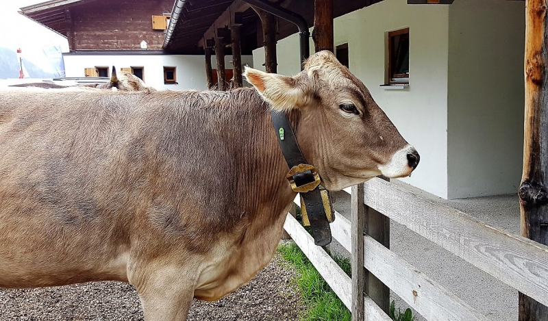Marienberg Alm – Besuch beim neuen Hüttenwirt