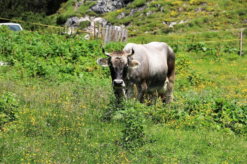 Marienbergjoch – Hochwasserschäden werden beseitigt