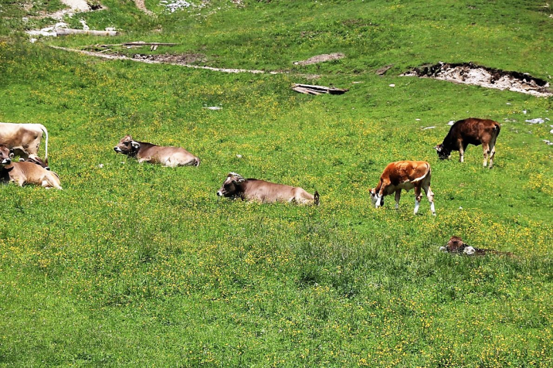 Marienbergjoch – Hochwasserschäden werden beseitigt