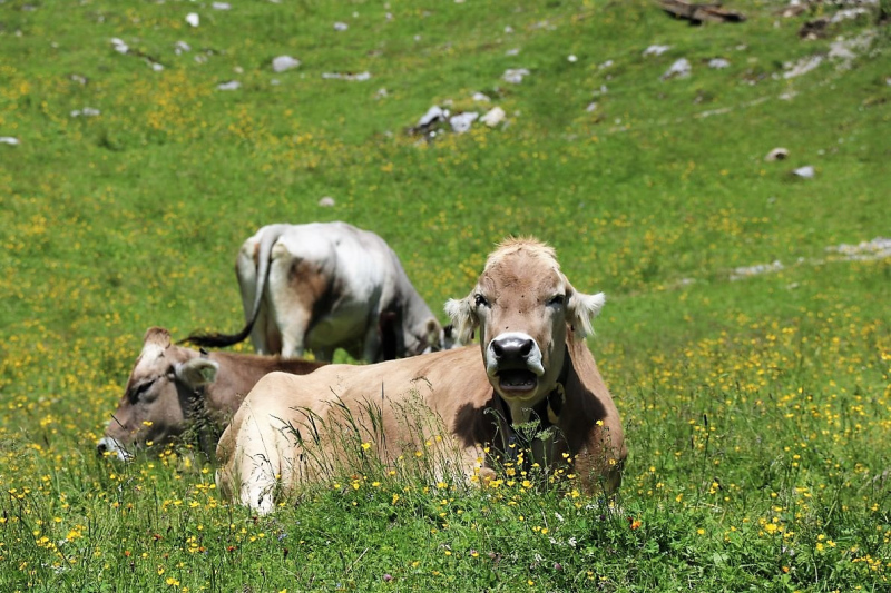 Marienbergjoch – Hochwasserschäden werden beseitigt