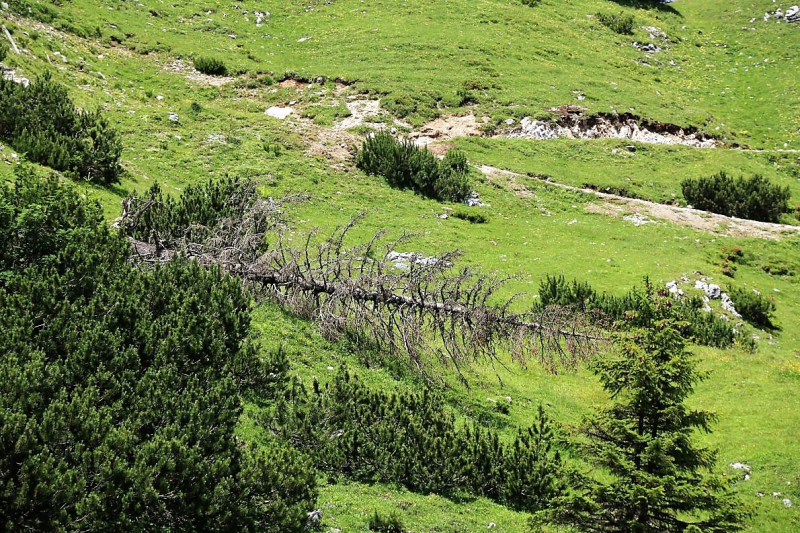 Marienbergjoch – Hochwasserschäden werden beseitigt