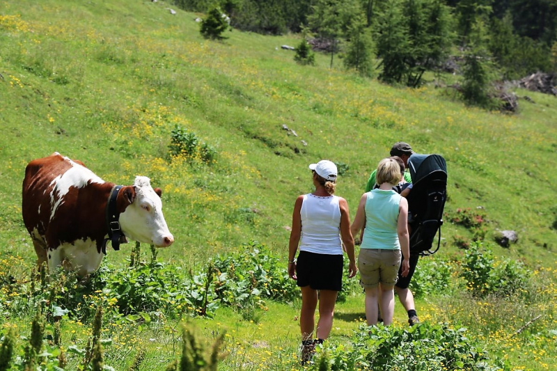Marienbergjoch – Hochwasserschäden werden beseitigt