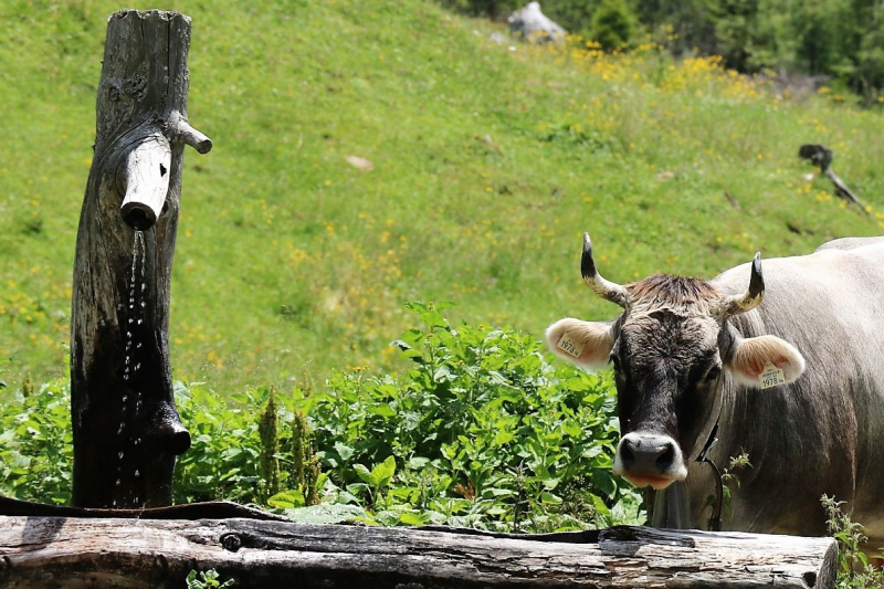 Marienbergjoch – Hochwasserschäden werden beseitigt