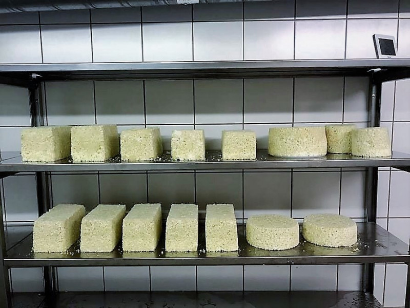Feldernalm-Nachricht – „wir melken, buttern, machen Graukas“