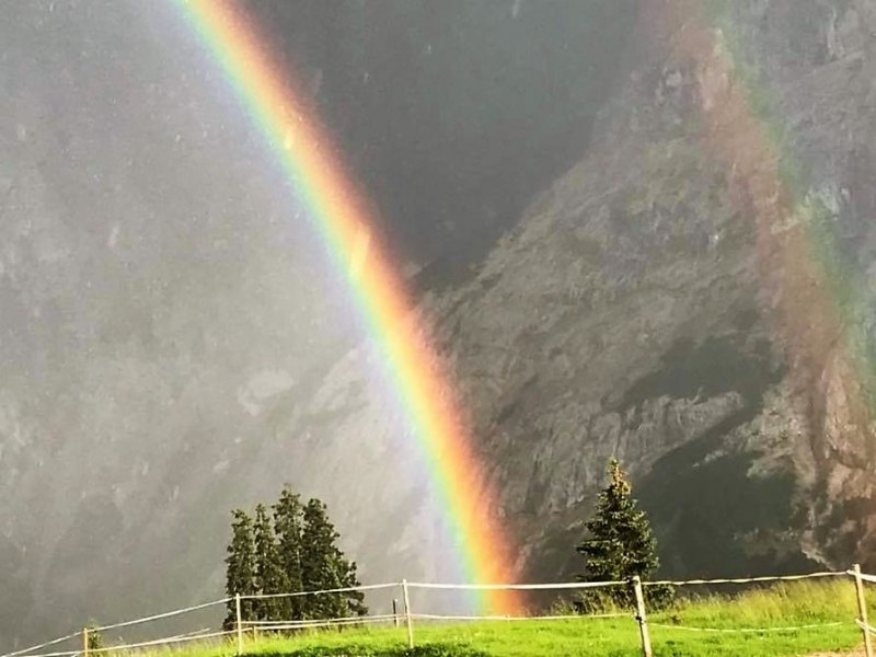 Feldernalm-Nachricht – „wir melken, buttern, machen Graukas“