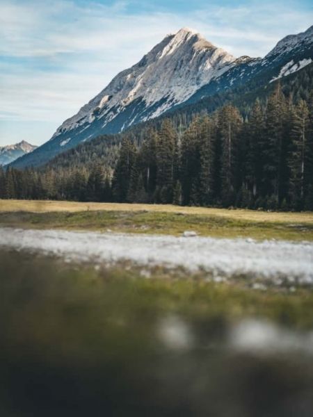 Sammelstelle unterhalb der alten Feldernalm