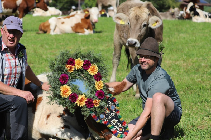 Nahaufnahme Feldernalmabtrieb – 35 Kilometer Fußweg