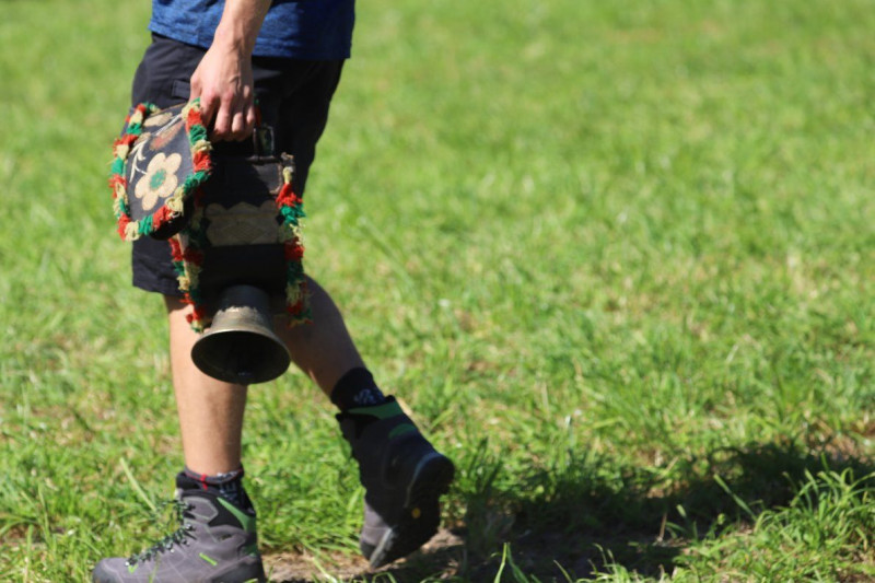 Nahaufnahme Feldernalmabtrieb – 35 Kilometer Fußweg