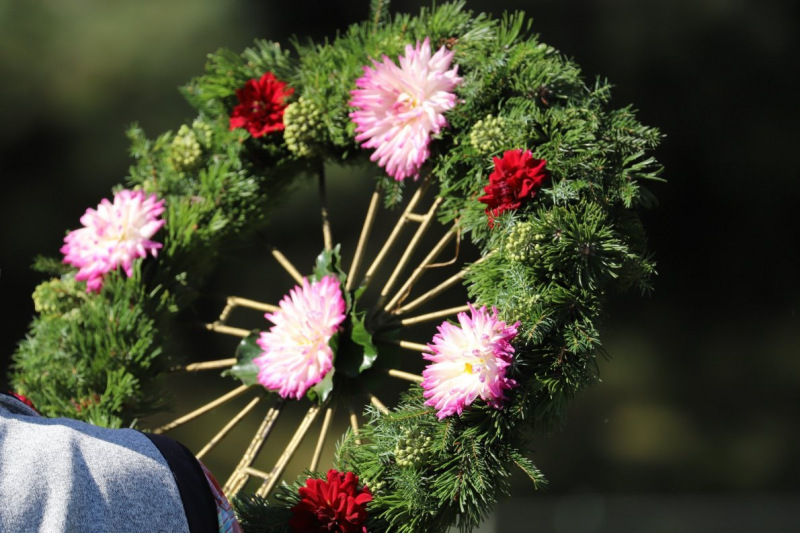 Nahaufnahme Feldernalmabtrieb – 35 Kilometer Fußweg