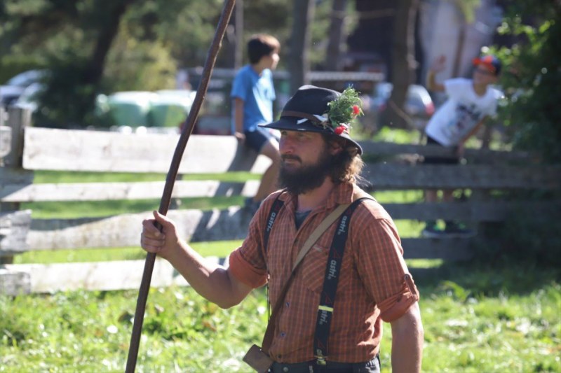 Nahaufnahme Feldernalmabtrieb – 35 Kilometer Fußweg