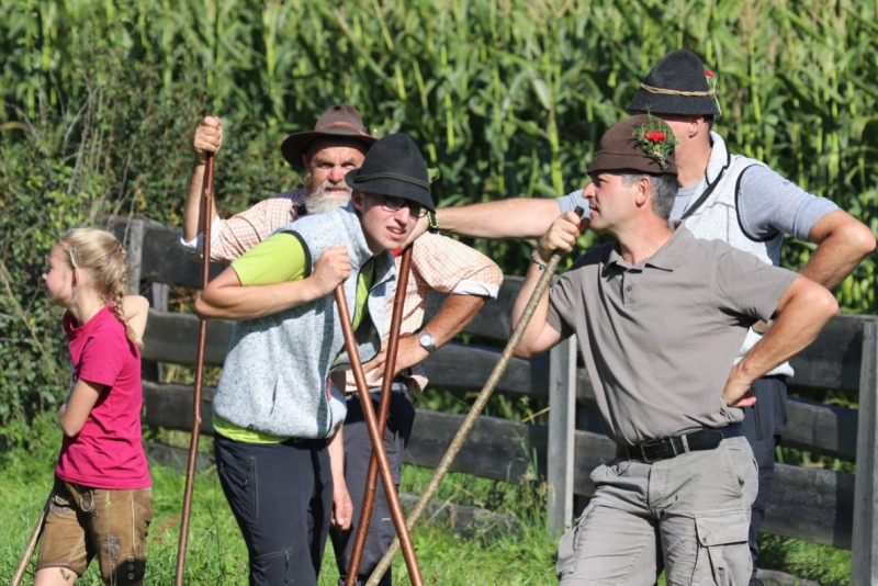 Nahaufnahme Feldernalmabtrieb – 35 Kilometer Fußweg