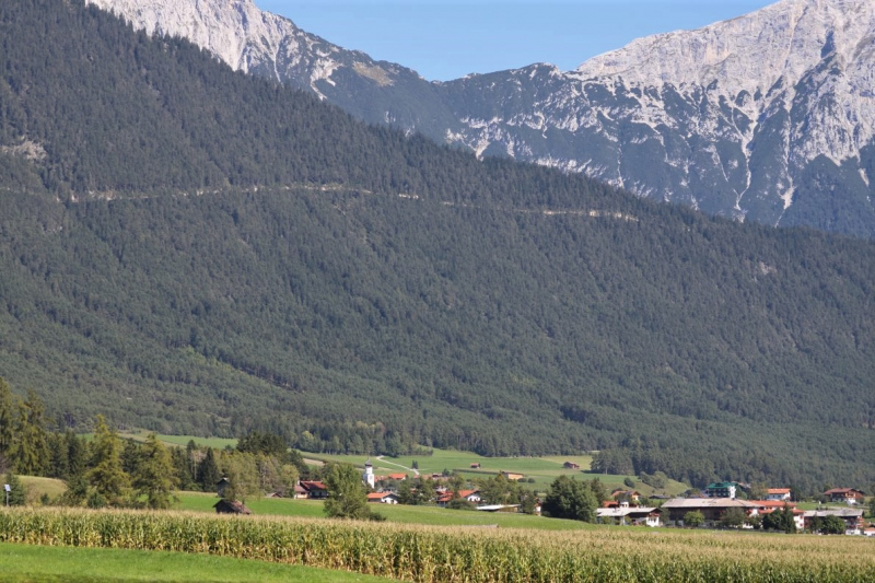 Nahaufnahme Feldernalmabtrieb – 35 Kilometer Fußweg