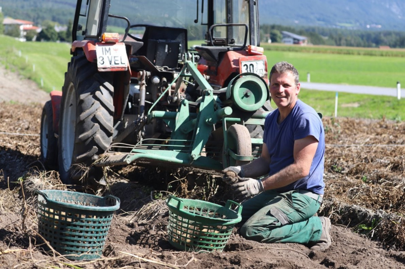 Nahaufnahme Feldernalmabtrieb – 35 Kilometer Fußweg