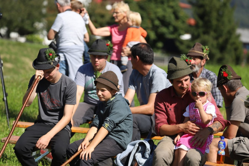 Nahaufnahme Feldernalmabtrieb – 35 Kilometer Fußweg