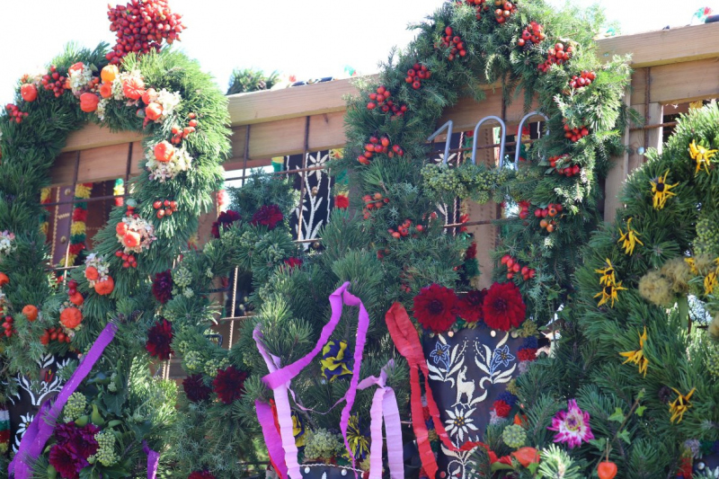 Nahaufnahme Feldernalmabtrieb – 35 Kilometer Fußweg