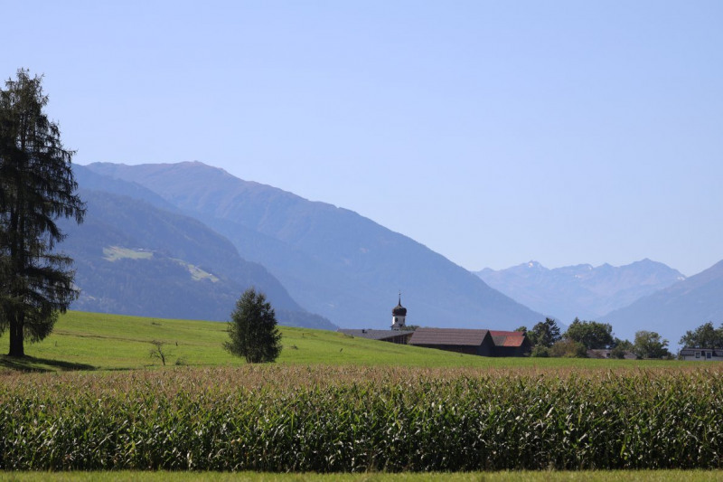 Nahaufnahme Feldernalmabtrieb – 35 Kilometer Fußweg
