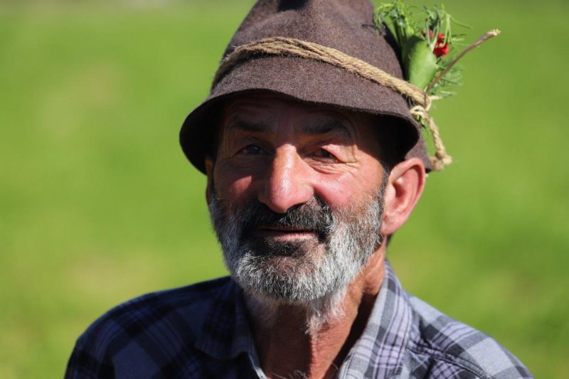 Nahaufnahme Feldernalmabtrieb – 35 Kilometer Fußweg