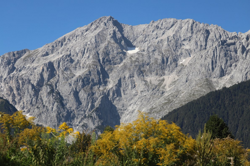 Nahaufnahme Feldernalmabtrieb – 35 Kilometer Fußweg