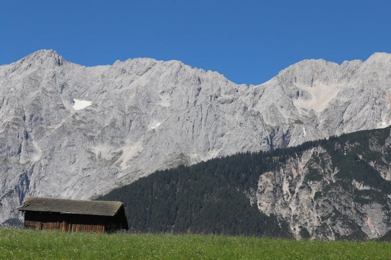 Nahaufnahme Feldernalmabtrieb – 35 Kilometer Fußweg