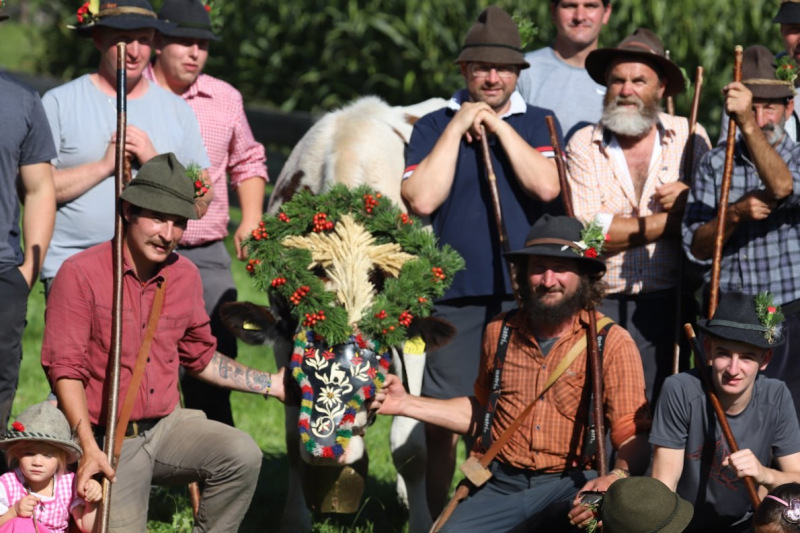 Nahaufnahme Feldernalmabtrieb – 35 Kilometer Fußweg