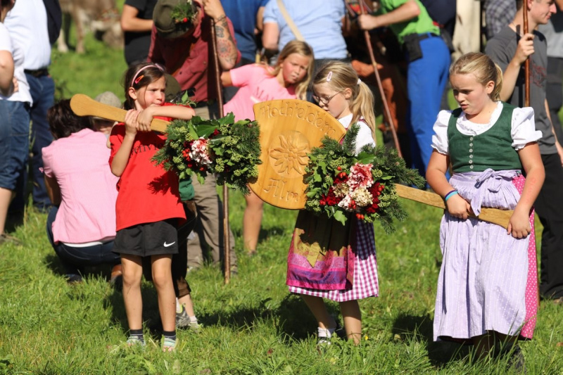 Nahaufnahme Feldernalmabtrieb – 35 Kilometer Fußweg