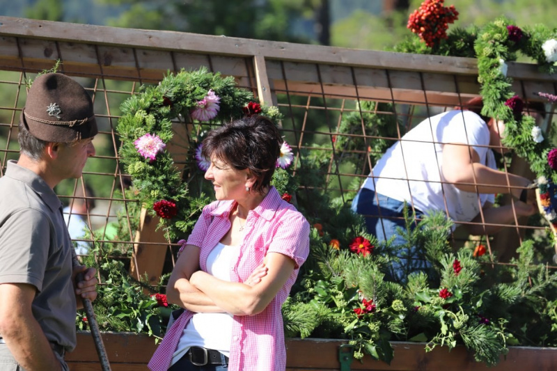 Nahaufnahme Feldernalmabtrieb – 35 Kilometer Fußweg