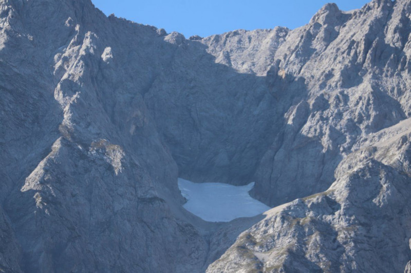 Nahaufnahme Feldernalmabtrieb – 35 Kilometer Fußweg