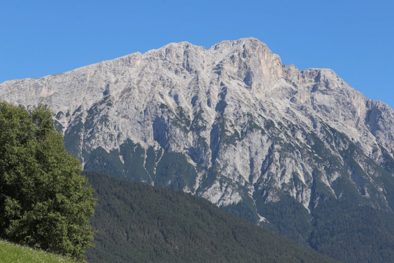 Nahaufnahme Feldernalmabtrieb – 35 Kilometer Fußweg