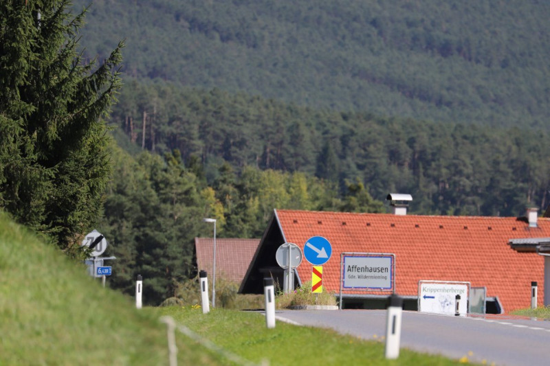 Nahaufnahme Feldernalmabtrieb – 35 Kilometer Fußweg
