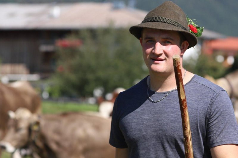 Nahaufnahme Feldernalmabtrieb – 35 Kilometer Fußweg