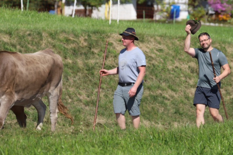 Nahaufnahme Feldernalmabtrieb – 35 Kilometer Fußweg
