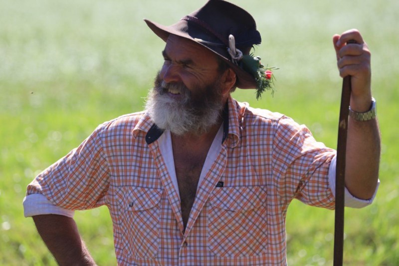 Nahaufnahme Feldernalmabtrieb – 35 Kilometer Fußweg