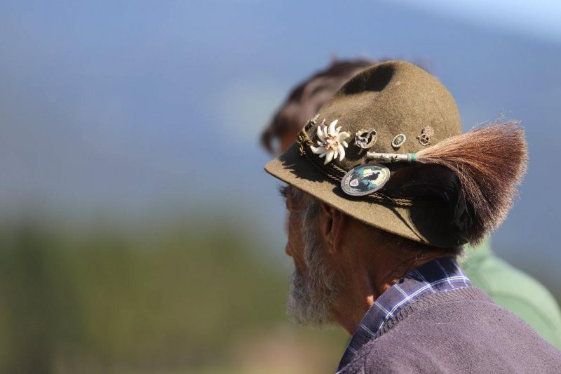 Nahaufnahme Feldernalmabtrieb – 35 Kilometer Fußweg