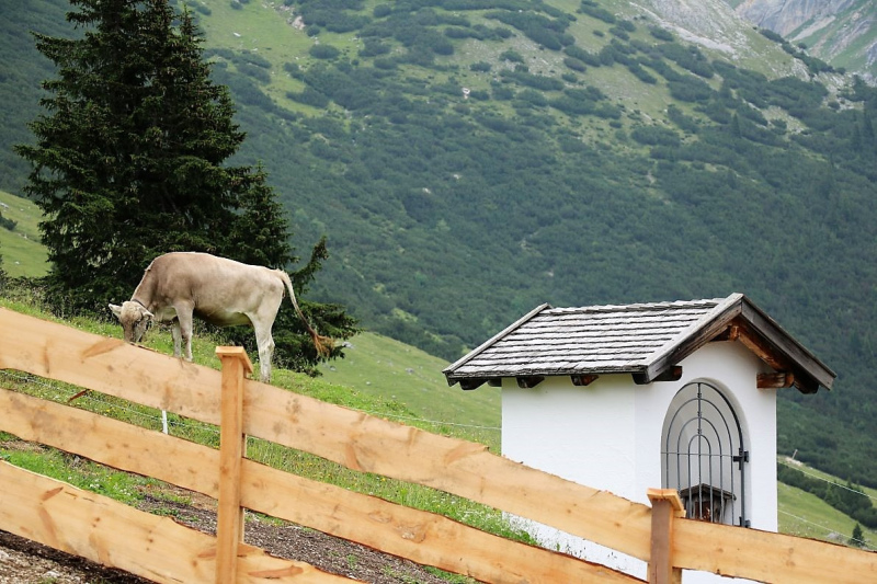 Neueröffnung Hochfeldern Alm – „…besser als viele erhofften“