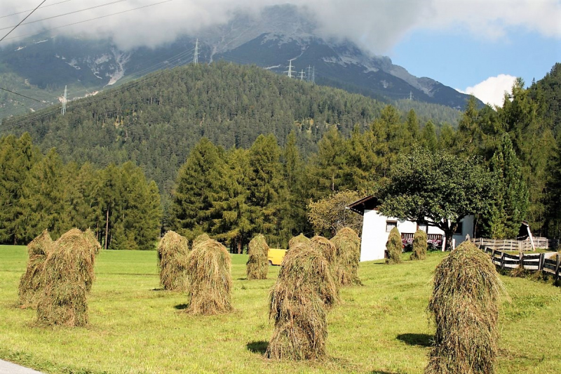 Schafabtrieb von der Seebenalm nach Untermieming